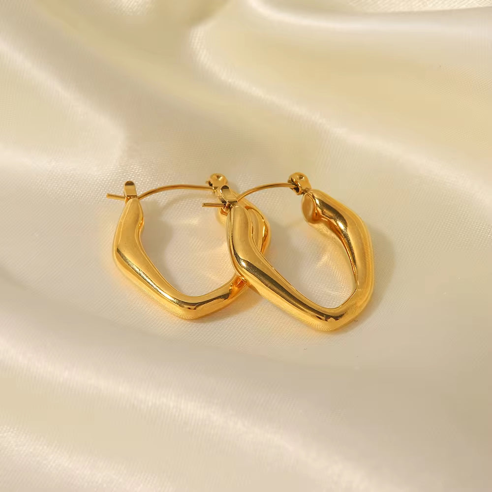 Ins 18K Gold Plated Earring Stainless Steel Irregular Jewelry Gift Geometric Chunky Earrings for Women